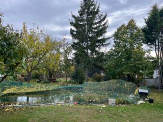 Rosis Appartement - 9