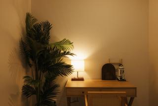 Seednest 7 bedroom beach house Pool &Game Room - 5