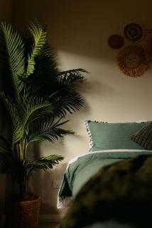 Seednest 7 bedroom beach house Pool &Game Room - Kewarra Beach - 1