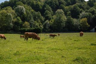 Hotel Rural Sucuevas - 2