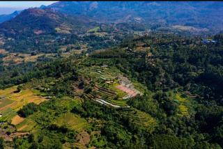 Munnar Mountain view cottage - 3