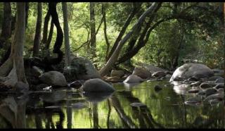 Munnar Mountain view cottage - 4
