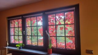 Casa Moselle-Royal Stilvoll Urlauben an der Mosel - 1