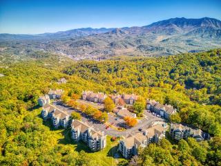 Cozy Bear Condo - Prime location just minutes from Ober Mountain, downtown Gatlinburg - 5
