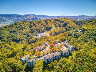Cozy Bear Condo - Prime location just minutes from Ober Mountain, downtown Gatlinburg - 1