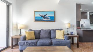 Las Palomas Resort Cordoba Exceptional Oceanfront 1 BR Unit - 6