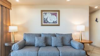 Las Palomas Topaz Oceanview 3BR 2BA - 1