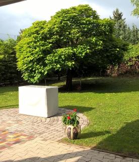 Magyar Tenger Pihenőház, 4-8 főre Balatonakarattya - 9