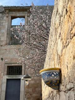 AgriturismoBugilfezza di TGESD - Modica - 9