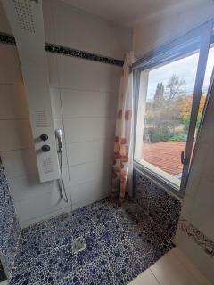 jacuzzi and horses - 2