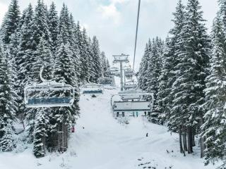 Appartement cosy 3 pièces pour 6 pers., proche télécabine Linga, balcon, garage, animaux admis - FR-1-676-158 - 1