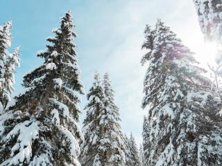 Appartement cosy pour 2 avec Wifi à Samoëns - FR-1-846-27 - Samoëns - 1