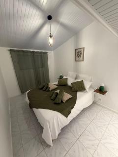 Villa JOLIS 4 chambres avec piscine clim wifi classée de tourisme 4 étoiles en Guadeloupe - 4