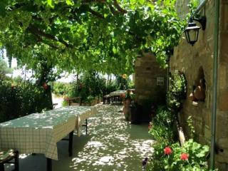 Spring Of Life Forever - Amargeti - 9