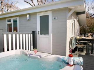 Merley Woodland Superior4 Lodge with Hot Tub - 0