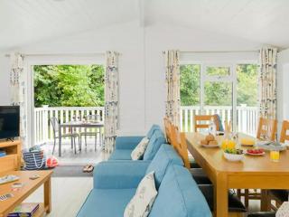Merley Woodland Superior4 Lodge with Hot Tub - Wimborne Minster - 5