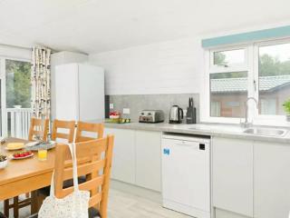 Merley Woodland Superior4 Lodge with Hot Tub - Wimborne Minster - 6