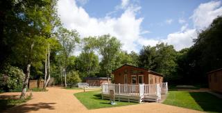 Merley Woodland Superior4 Lodge with Hot Tub - Wimborne Minster - 2