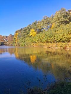 Siedlisko Sielska Dolina Nad Stawem luksusowy domek całoroczny z fińską sauną - 5