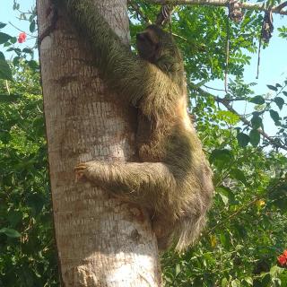 Ríos de agua Viva - 4