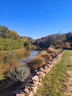 Siedlisko Sielska Dolina Nad Stawem luksusowy domek całoroczny z klimatyzacją - 4