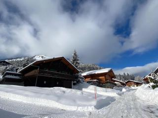 Chalet Les Ravaires, Morgins - 5