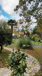 Les 2 Ginkgos à 5 minutes de Beauval - 7