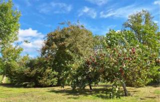 Beautiful Home In Ærøskøbing - 9
