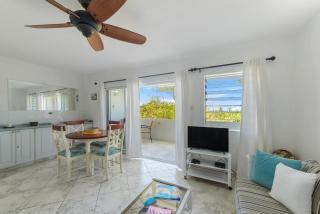 Rum Runner - Golden View 328 - 1