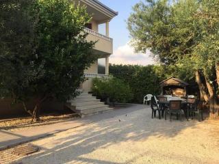 Apartmani Vrzina - 2