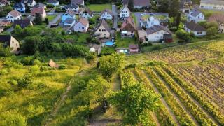 Chez Lulu - Maison au calme à Kaysersberg - 4