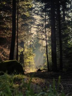 Noclegi Słowackiego 6 - 3