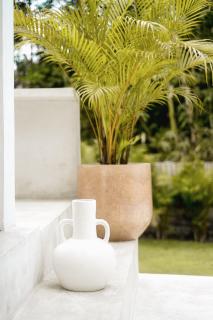 Jungleview Villa center Canggu 3 bedroom - 2