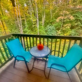 Just Listed! THE GROTTO w In Suite Jacuzzi-Pets Welcome 420 Friendly Apartment - Gatlinburg - 2