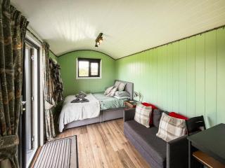 Cwtch Winnie - Uk49708 - 6