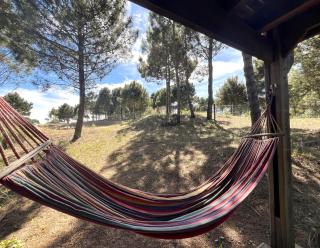 Cabaña Meliades - Relax Entre Pinos - Mascotas - Ayres Del Bosque Alojamientos - 7