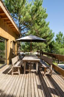 Cabaña Meliades - Relax Entre Pinos - Mascotas - Ayres Del Bosque Alojamientos - 9