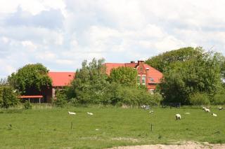 Hof Am Hörn Momme Jensen - 7