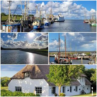 Dat Möhlenhus Peter Jensen - 1