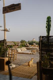 Berber Beldi Camp - 7