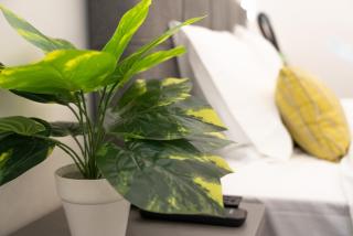 Athens Luxury Penthouse - Atene - 8