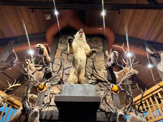 Hot Springs Hotel & Spa - 9