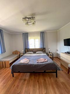 Котедж Шум Черемоша на березі річки - 9