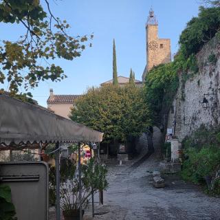 sous le tilleuil - 9