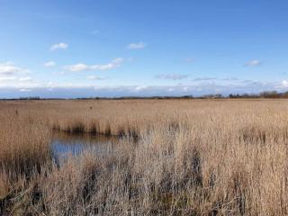 5 person holiday home in Otterup - 2