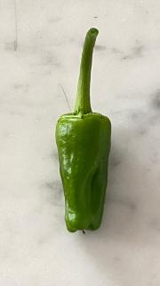 Apartamento Padrón Centro P2 by URent - 7