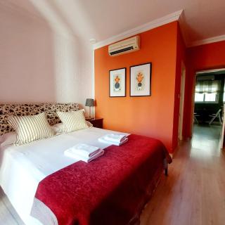 The City Shine by Plaza Nueva - 3