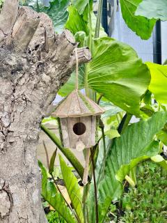 Unica Hija Hometel by TahZora - 3