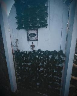 Lee's Grandma's Will Cottage - 4