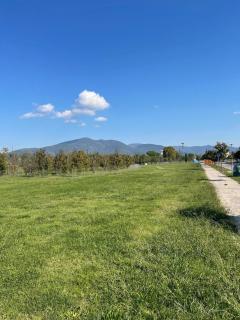 B33 A natural tilt for beauty - 4